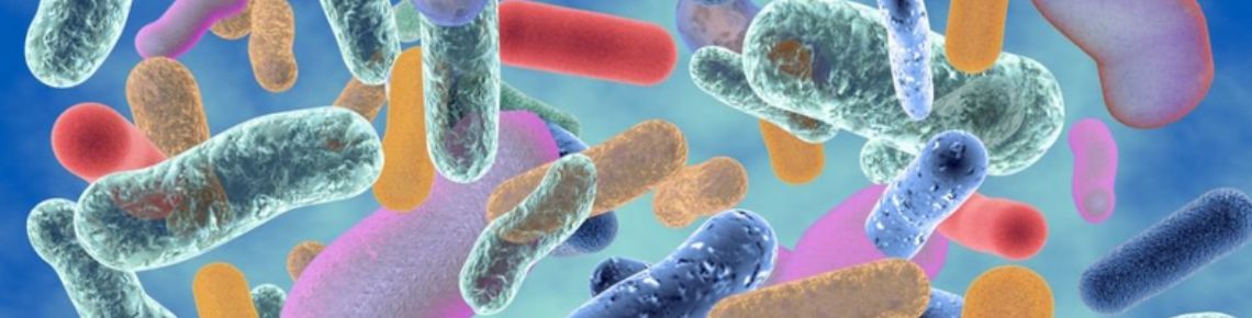 Fermentation illustration