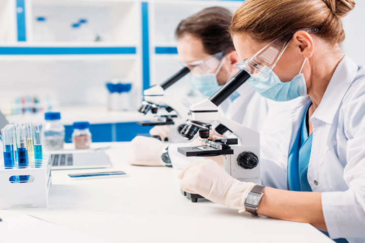 une chercheuse et un chercheur dans un laboratoire regardant dans des microscopes